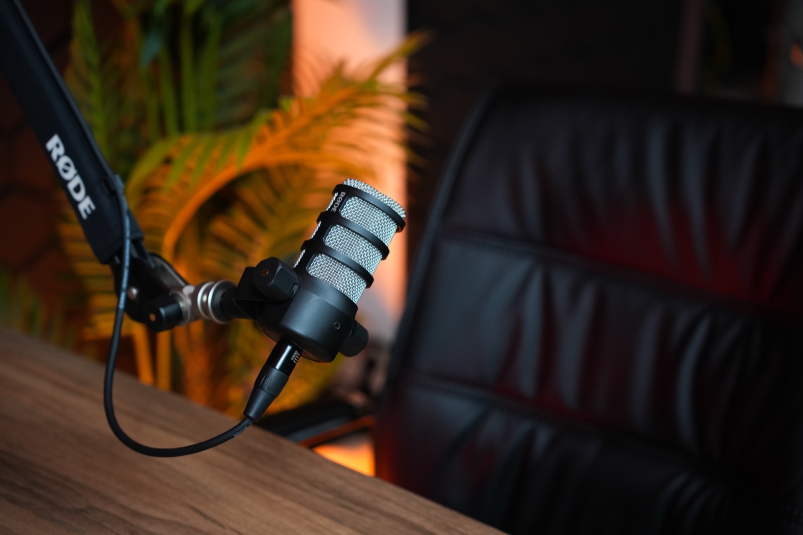 Micro RØDE en gros plan